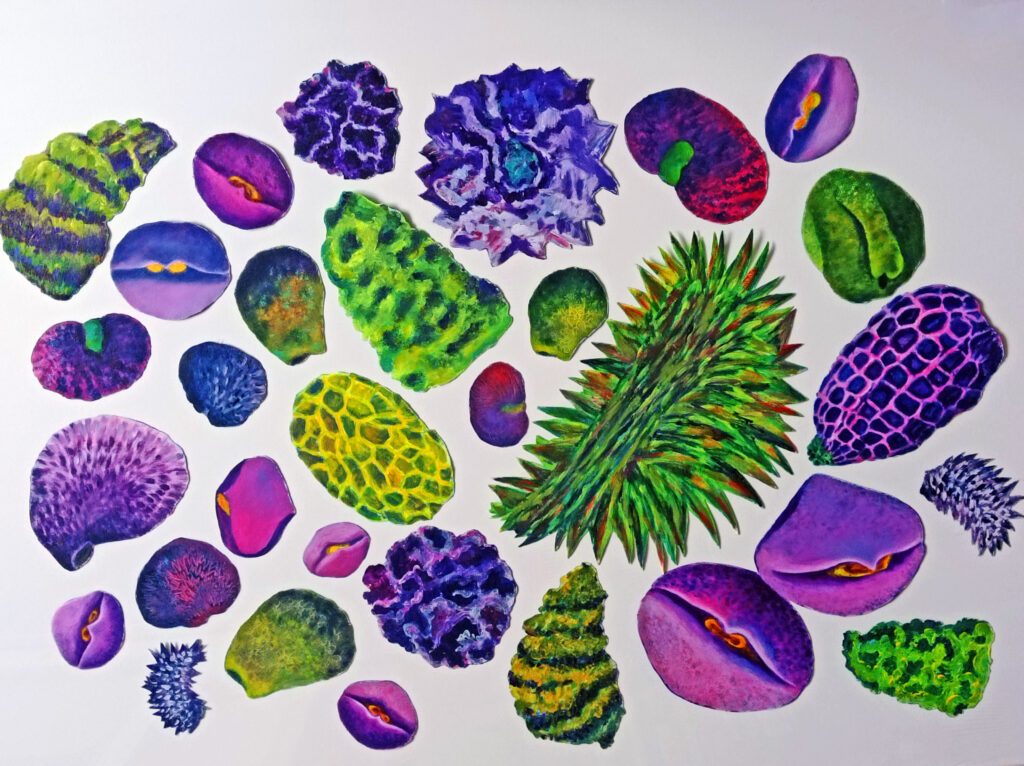 Seeds - diverse formaten - acryl op canvas, uitgeknipt